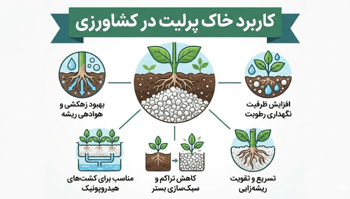 اصلاح ساختار خاک کشاورزی و گلخانه‌ای با پودر و دانه‌های پرلیت